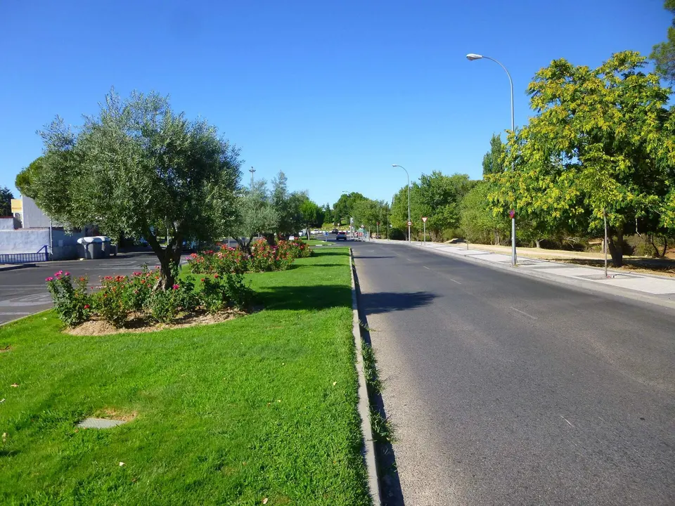 Avenida arbolada de Majadahonda