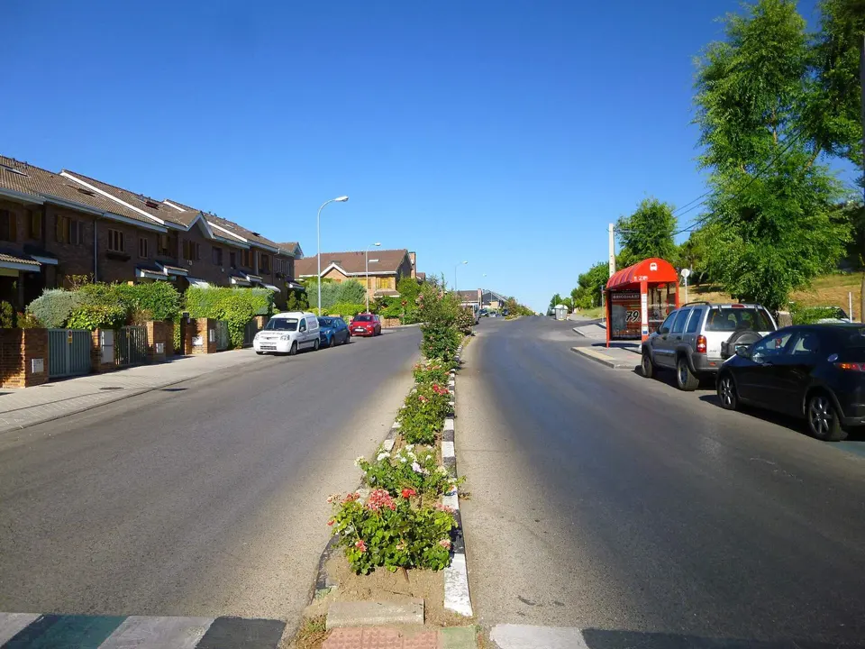 Avenida con mediana ajardinada
