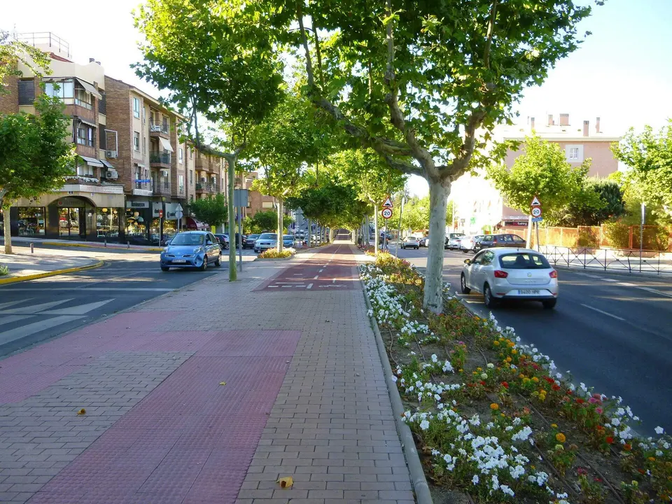 Carril bici y acera arbolada