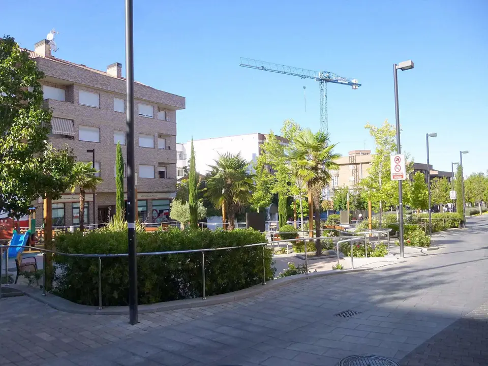 Paseo con palmeras y edificios nuevos