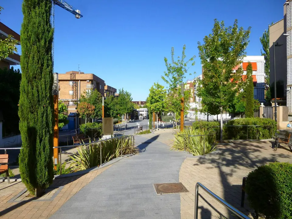 Paseo peatonal con cipreses