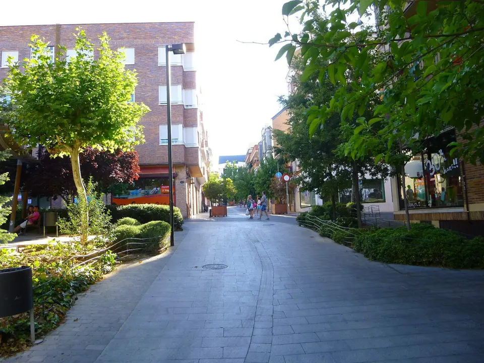 Calle tranquila con árboles