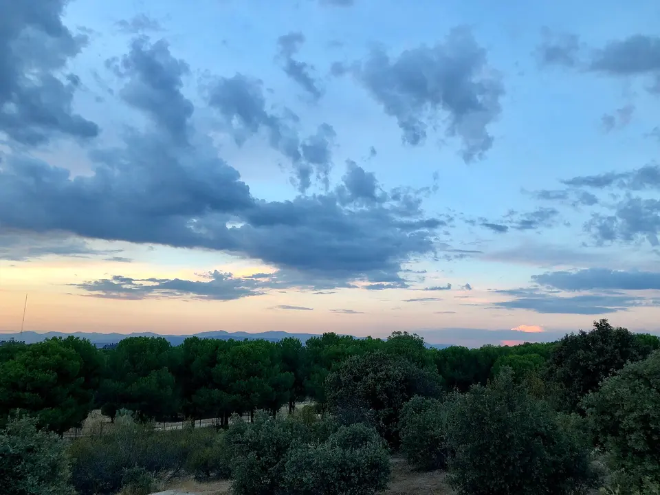 Vista del bosque del Monte del Pilar al anochecer
