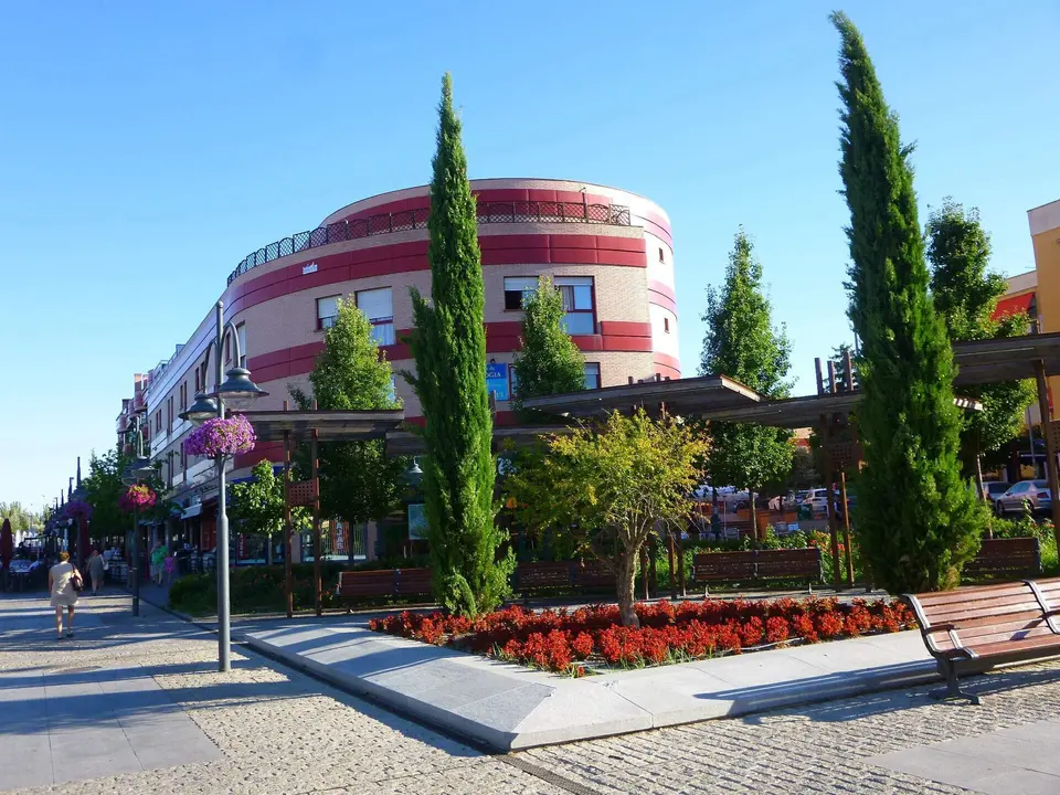 Plaza de Colón con cipreses y parterres de flores
