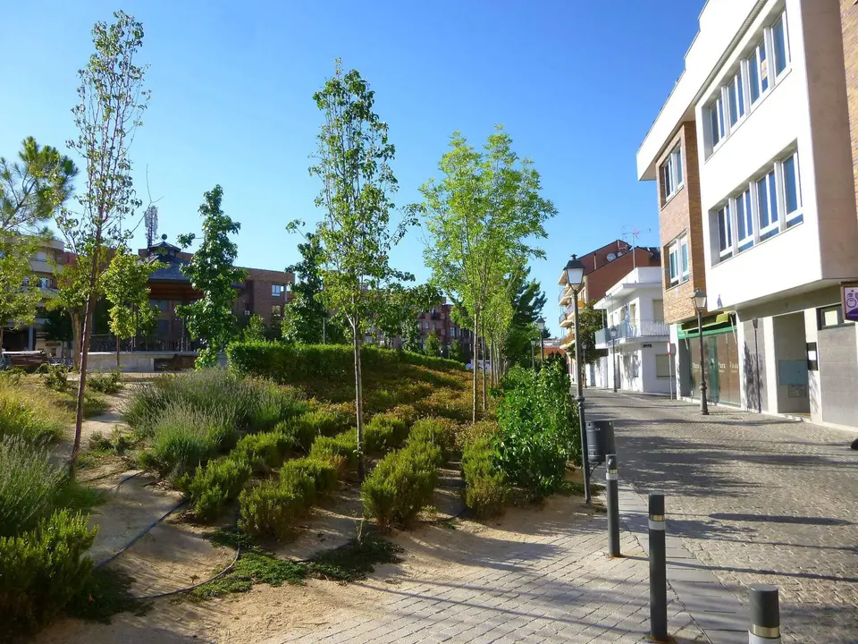 Jardín de plantas aromáticas en la Plaza de la Constitución