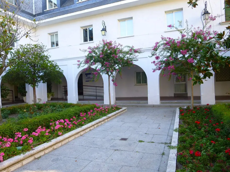 Paseo entre árboles en flor en la Plaza Mayor